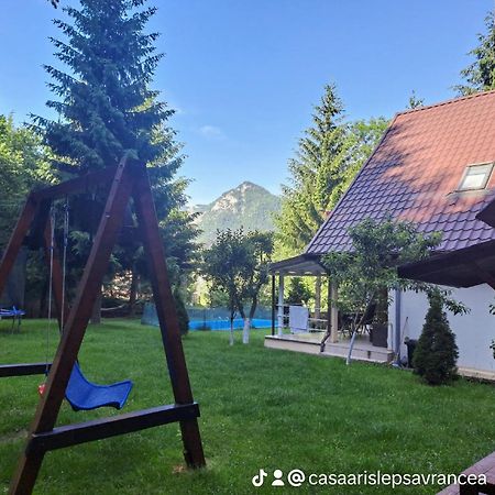 Casa Aris Lepsa Vrancea Hotel Exterior foto