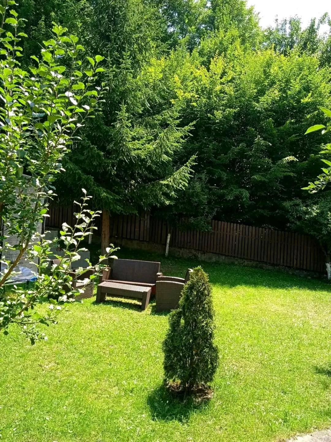 Casa Aris Lepsa Vrancea Hotel Exterior foto