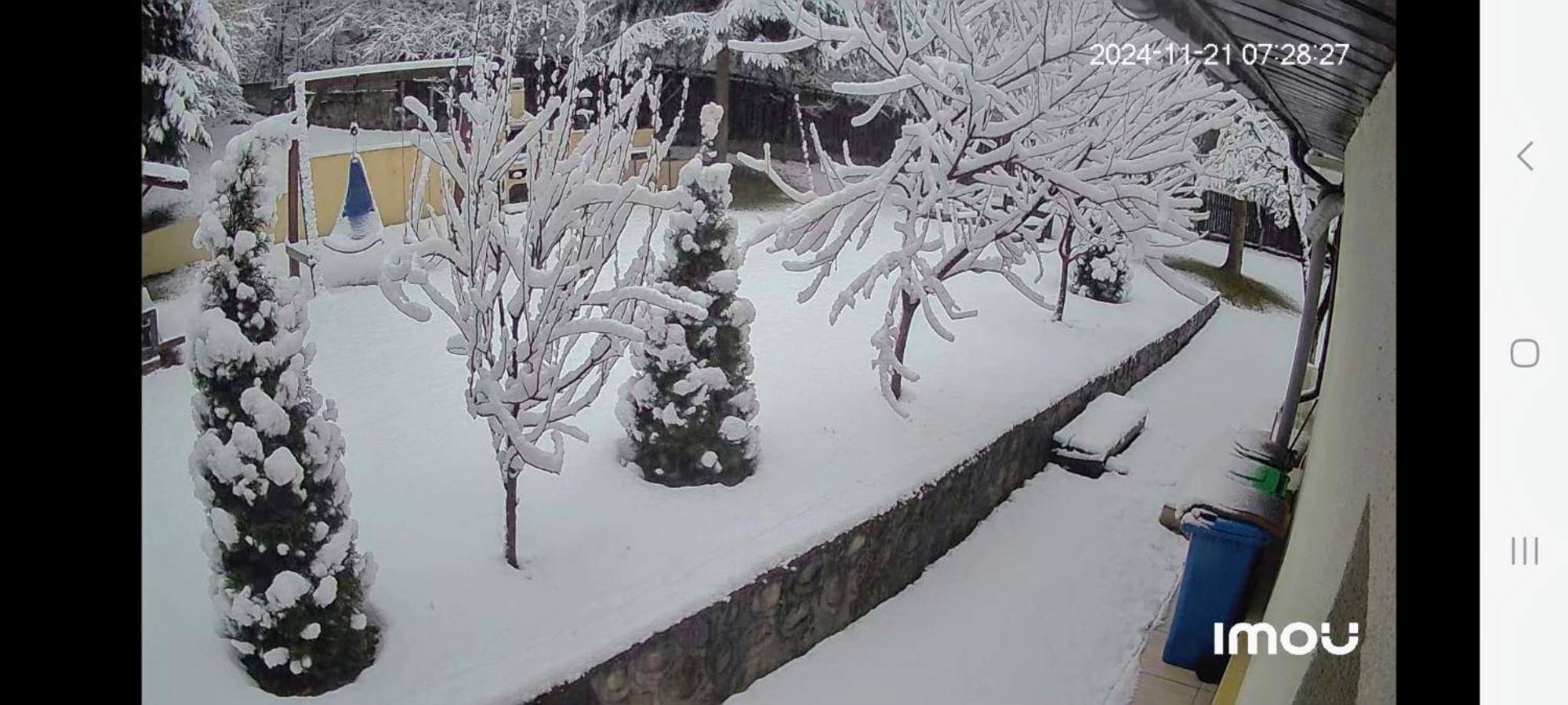 Casa Aris Lepsa Vrancea Hotel Exterior foto