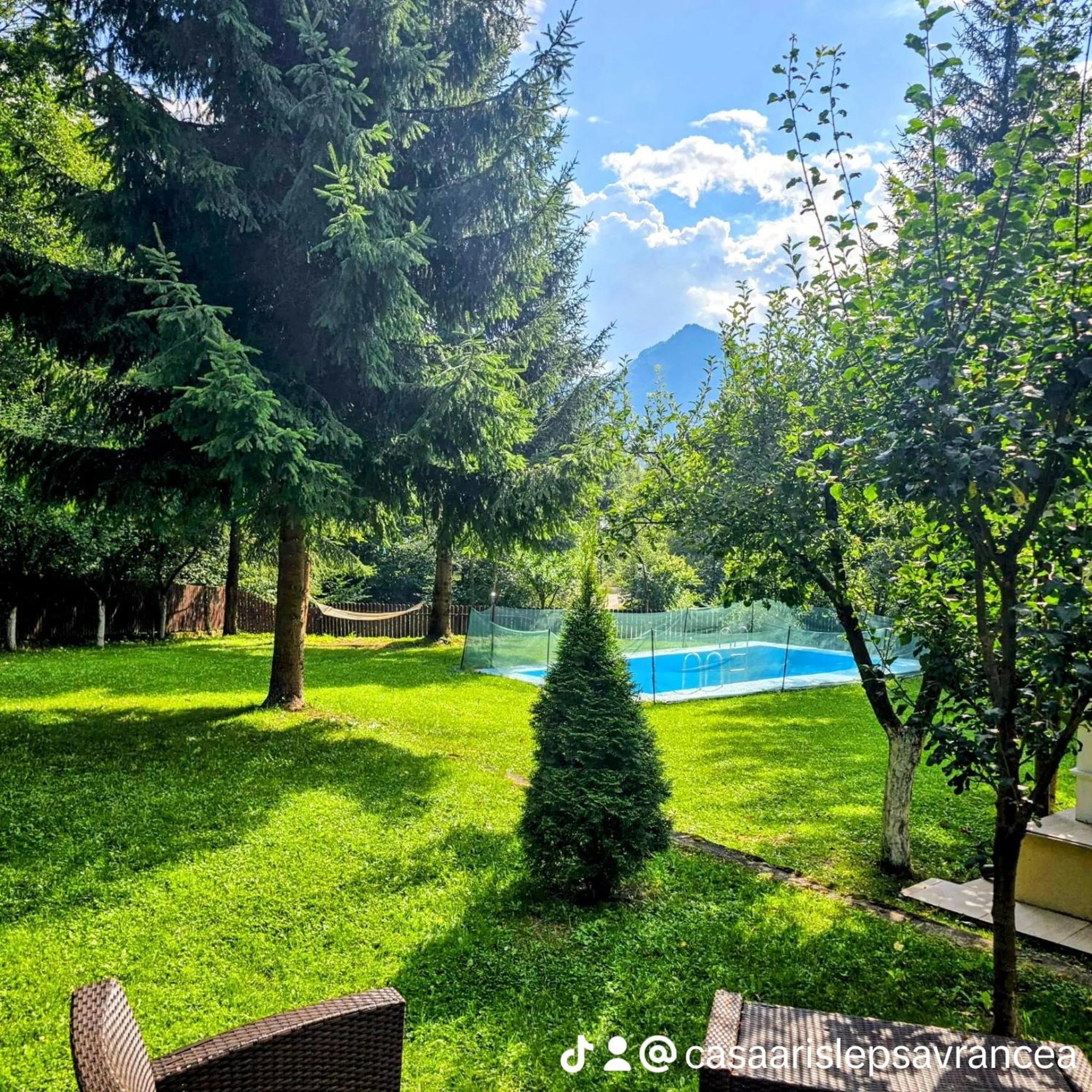 Casa Aris Lepsa Vrancea Hotel Exterior foto